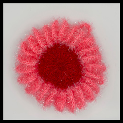 Biscuit </br>(CHF 18.-)