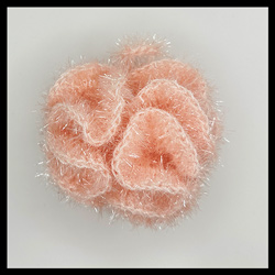 Anémone rose </br> (CHF 20.-)