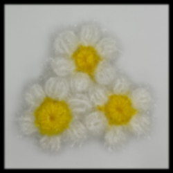 Marguerites <br>(CHF 18.-)