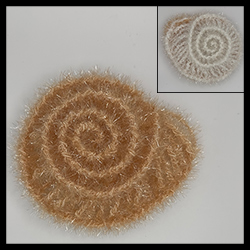 Coquillage <br>(CHF 20.-)